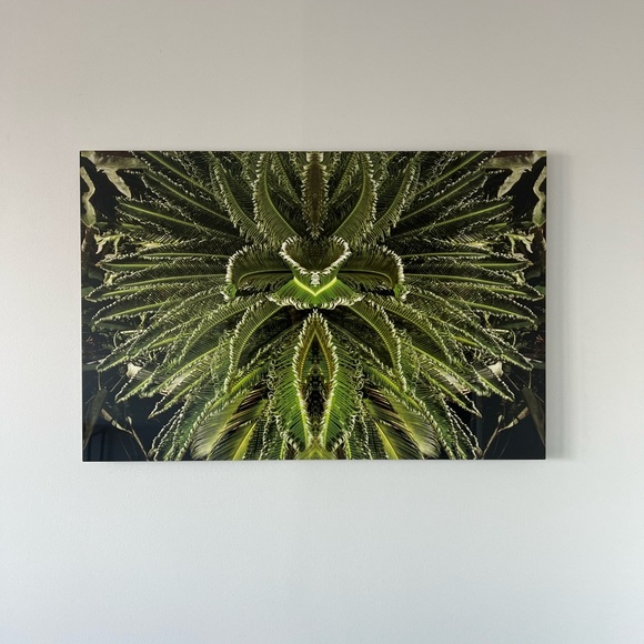 Photography wall art - Jungle Feever - Picture 1 of 2